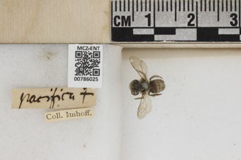 Media type: image;   Entomology 786025 Aspect: Labels